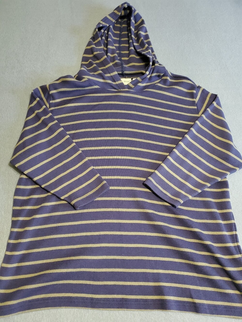 L.L. Bean Women's Hooded Stripe Sweater in Blue And Green